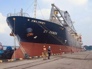 PKS20241012-1