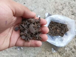 PKS20260825-9